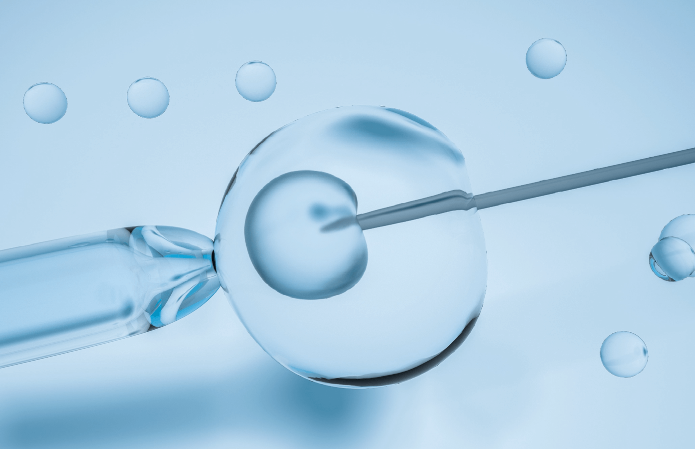 ivf images